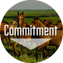 circle_commitment