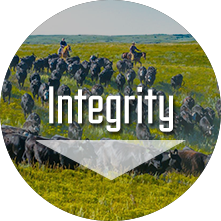 circle_integrity